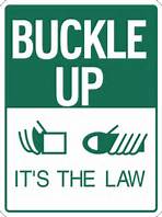 Buckle up its the law